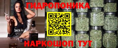 СК Моздок